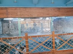 -海合安青岛极地海洋公园