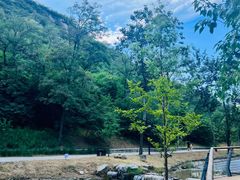 -白水寺森林公园