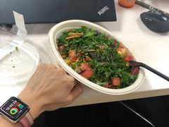 -油梨树AVOCADO TREE(嘉里中心店)