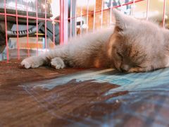 -第三空间·趣味桌游·轰趴.室内CS.剧本杀(大武汉1911店)