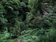 -碧峰峡风景区