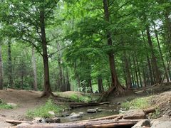-白水寺森林公园