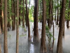 -东湖落雁景区