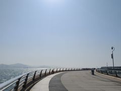 -演武大桥观景平台