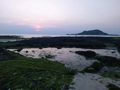 -涉地可支