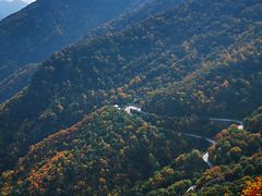 -白草畔自然风景区