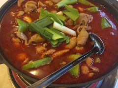 湘为肥肠火锅-湘肠香火锅店(团结湖店)