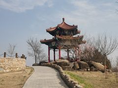 -白水寺森林公园