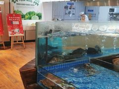 水产区-香山湖家家宴(中山陵店)