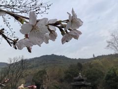 -穹窿山景区