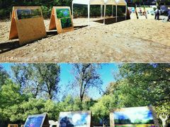 -上海共青森林公园