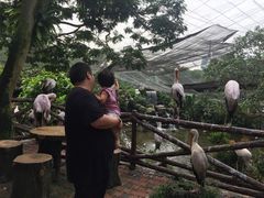 -吉隆坡雀鸟公园