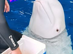 -福州罗源湾海洋世界旅游区