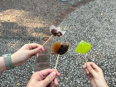 -长鹿旅游休博园
