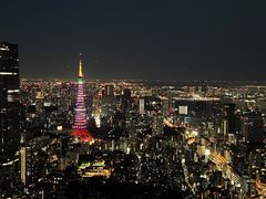 -六本木新城展望台(东京城市景观)