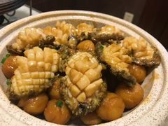 -宝发园名菜馆