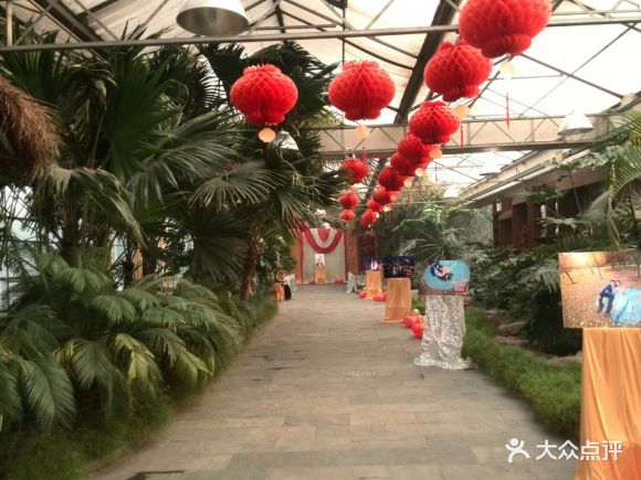 金泰花园酒店(东二环店) - 落花结果_1287的相册 - 保定美食 - 大众