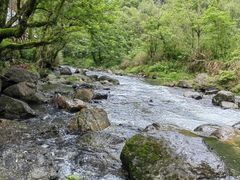 -石台牯牛降景区