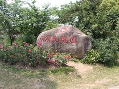 -鹅湖玫瑰文化园