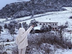 -武陵山森林公园