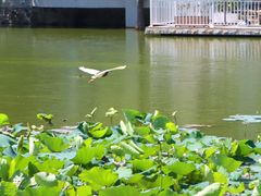 -人民公园(罗湖区)