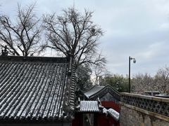 -泰山风景名胜区-普照寺