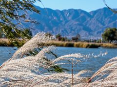 -野鸭湖国家湿地公园