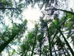 -芦芽山旅游度假区