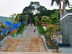 -仙岳公园