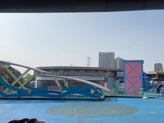 -海合安武汉极地海洋公园