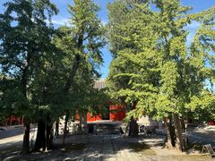 -承恩寺