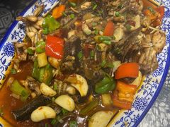 -龙小海荆沙鸽子店(瑞安街店)