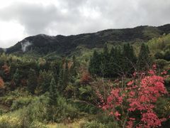-塔川景区