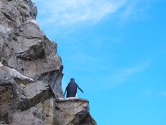 -珠海长隆海洋王国