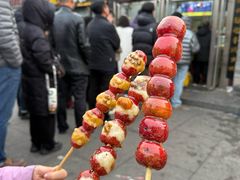 -糖葫芦王保定名吃(古莲花池店)