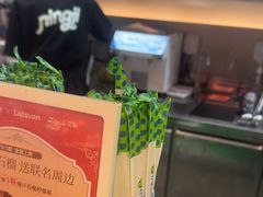 -柠季·手打柠檬茶(静安大悦城北座B1店 )