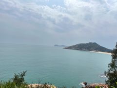-广东惠东海龟国家级自然保护区
