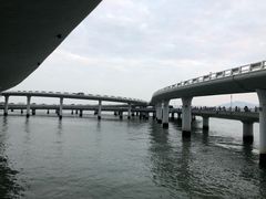 -演武大桥观景平台