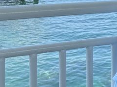 -三亚西岛海洋文化旅游区