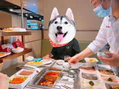 -海底捞火锅(新华联梦想城店)