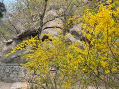 -天津盘山风景名胜区