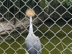 -石家庄市动物园