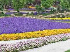 -南通洲际绿博园