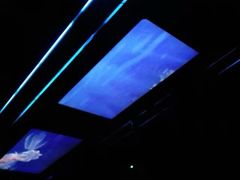 -海洋公园海洋列车－海滨站