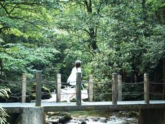 -瓦屋山景区