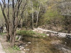 -玉渡山自然风景区