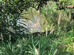 -木守西溪溪隐餐厅