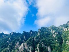 -王顺山国家森林公园