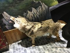 -功夫小龙虾·烧烤·江湖菜(金沙洲店)