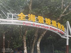 -亚龙湾热带天堂森林公园